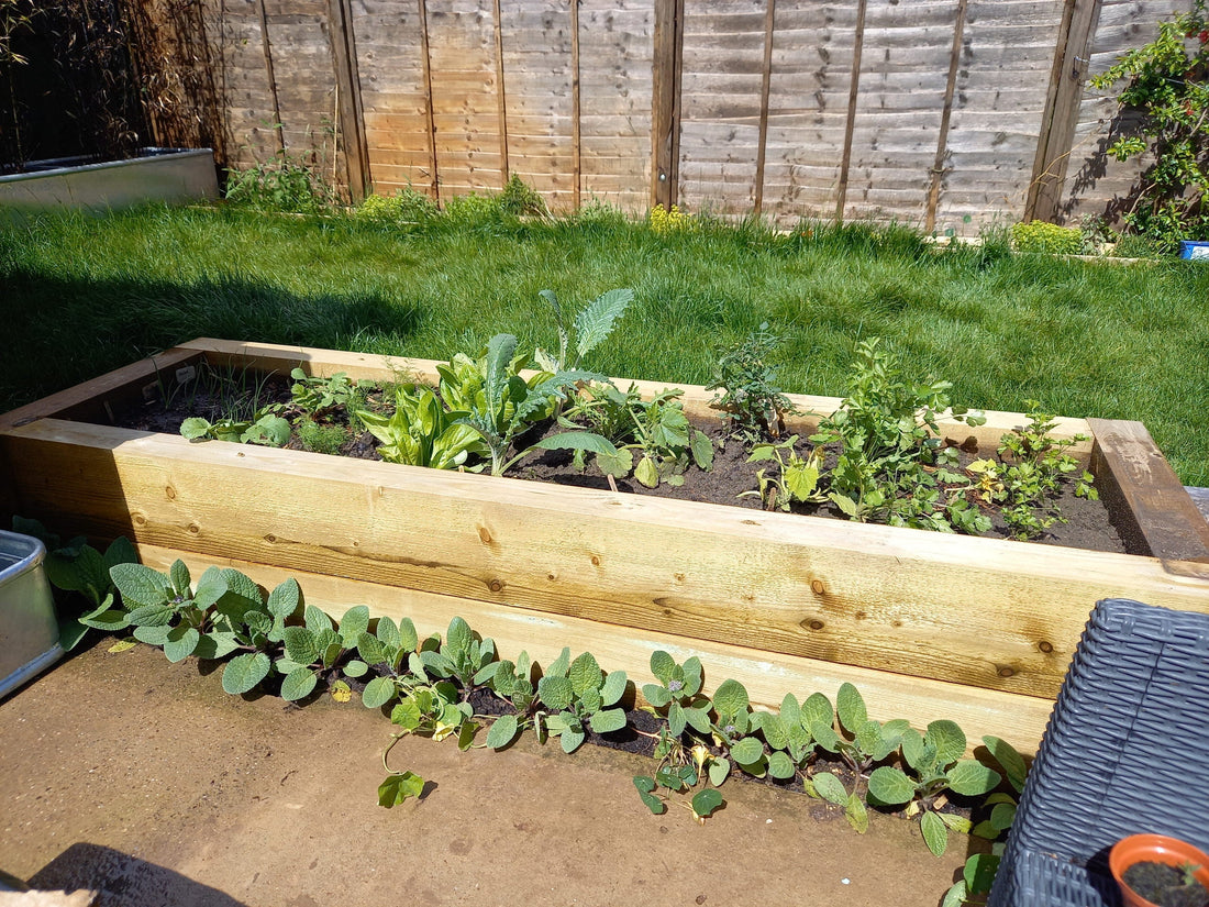 Barbara / Warwickshire