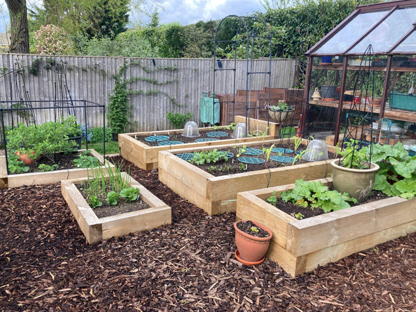 Elizabeth's raised bed garden in Wokingham
